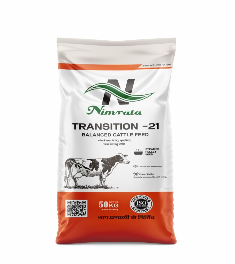Nimrata Transition 21 balanced cattle feed 50kg for dairy animals during calving period energy booster feed
