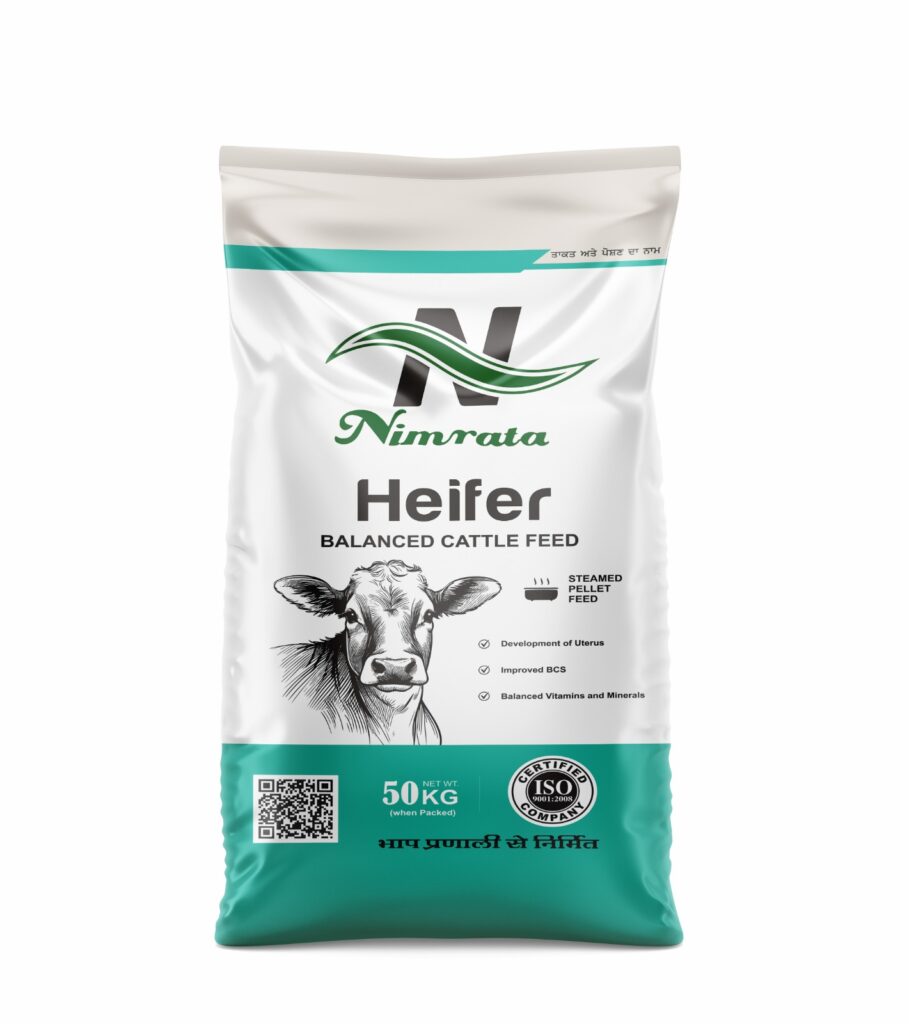 Nimrata heifer balanced cattle feed 50kg for young dairy animals growth development and nutrition